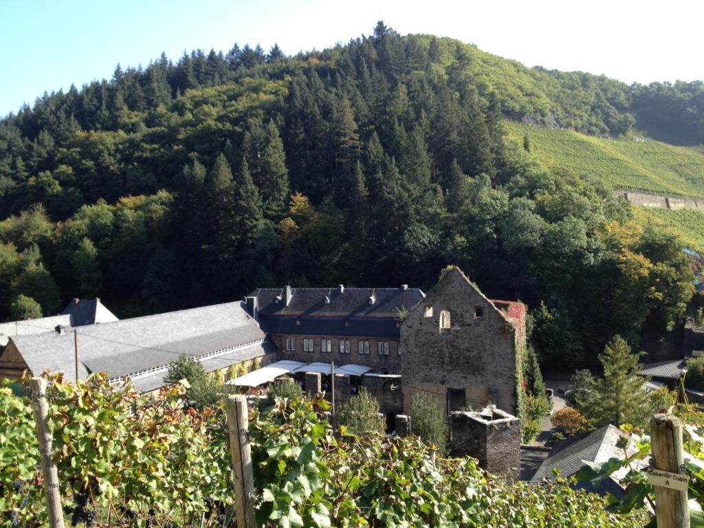 Ferienwohnung Landskroner Blick Bad Neuenahr-Ahrweiler Dış mekan fotoğraf